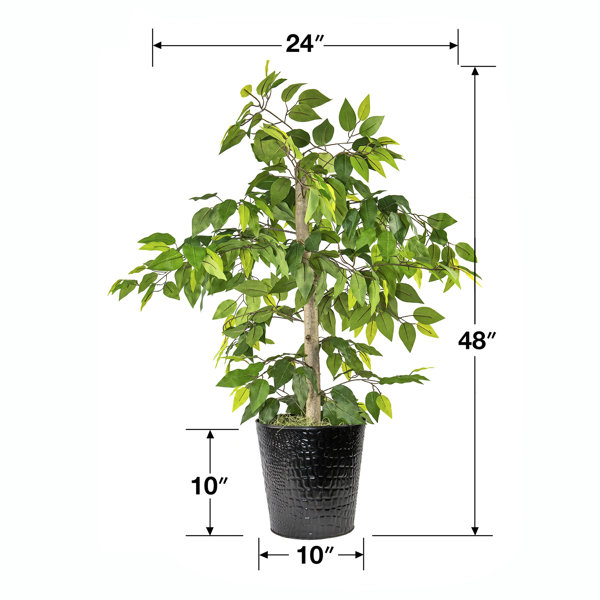 Primrue 48'' Faux Ficus Plant in Metal Pot & Reviews Wayfair